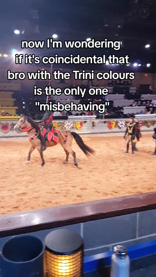 TikTok video thumbnail by trinilea