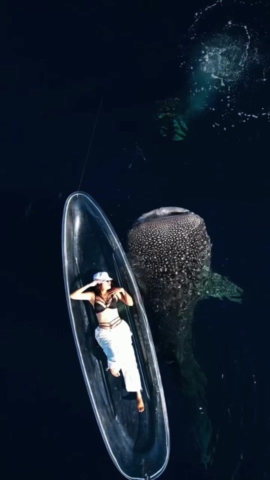 TikTok video thumbnail by wonderfulid