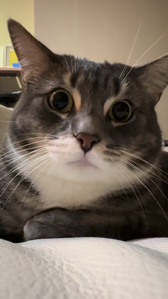 TikTok video thumbnail by kinya787