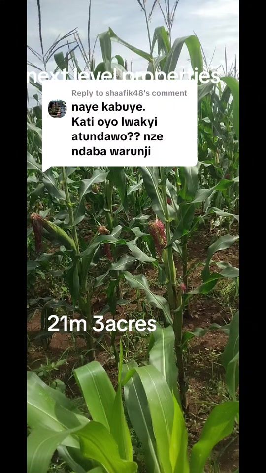 TikTok video thumbnail by kabuye.charles