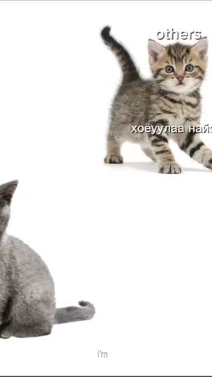 TikTok video thumbnail by nikushimq