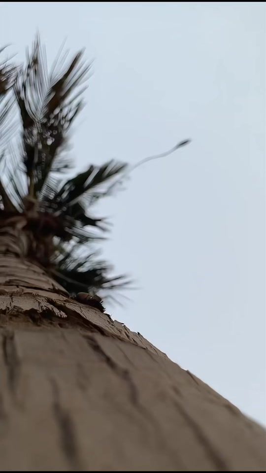 TikTok video thumbnail by agg19900