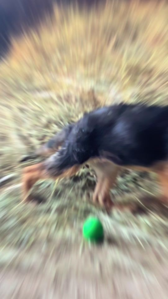 TikTok video thumbnail by yahyanofal7