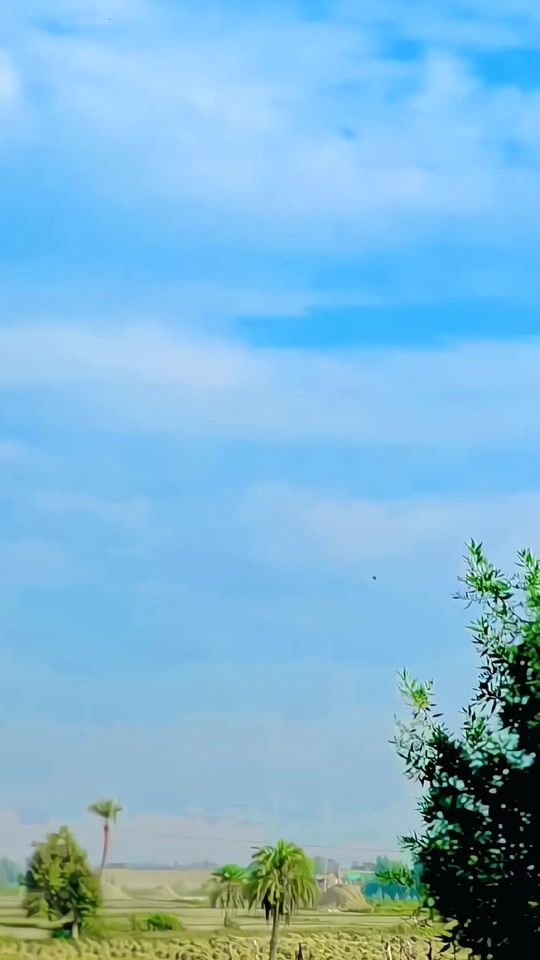 TikTok video thumbnail by ali_baloch_337