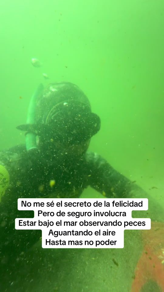 TikTok video thumbnail by elyoma1