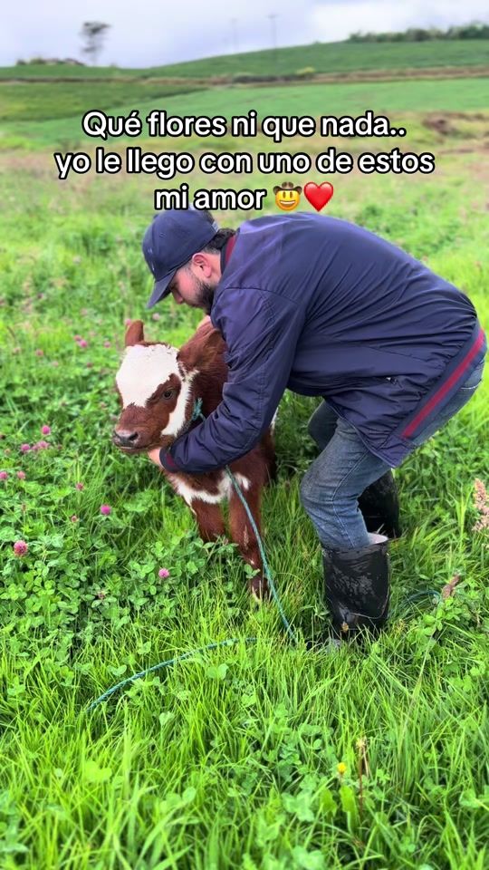 TikTok video thumbnail by soyjair___