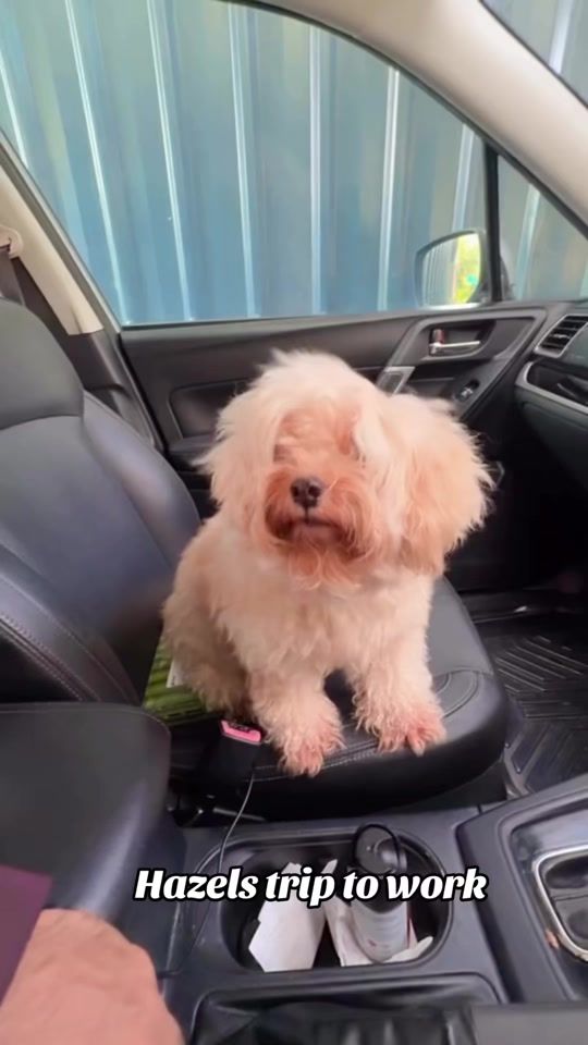 TikTok video thumbnail by bimji_47