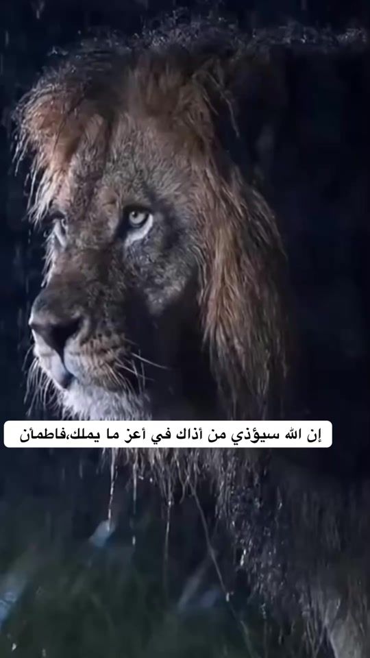 TikTok video thumbnail by theking_ch0