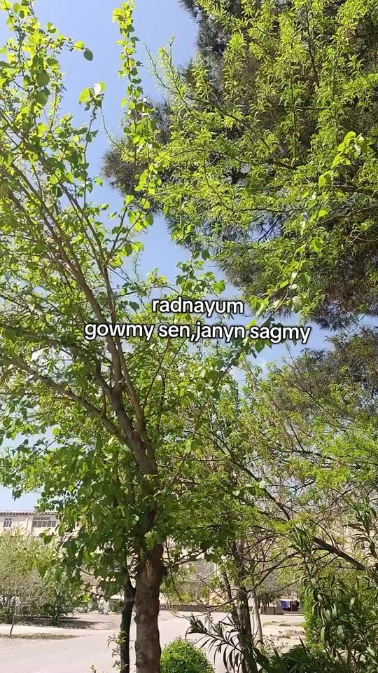 TikTok video thumbnail by gatnasmaa