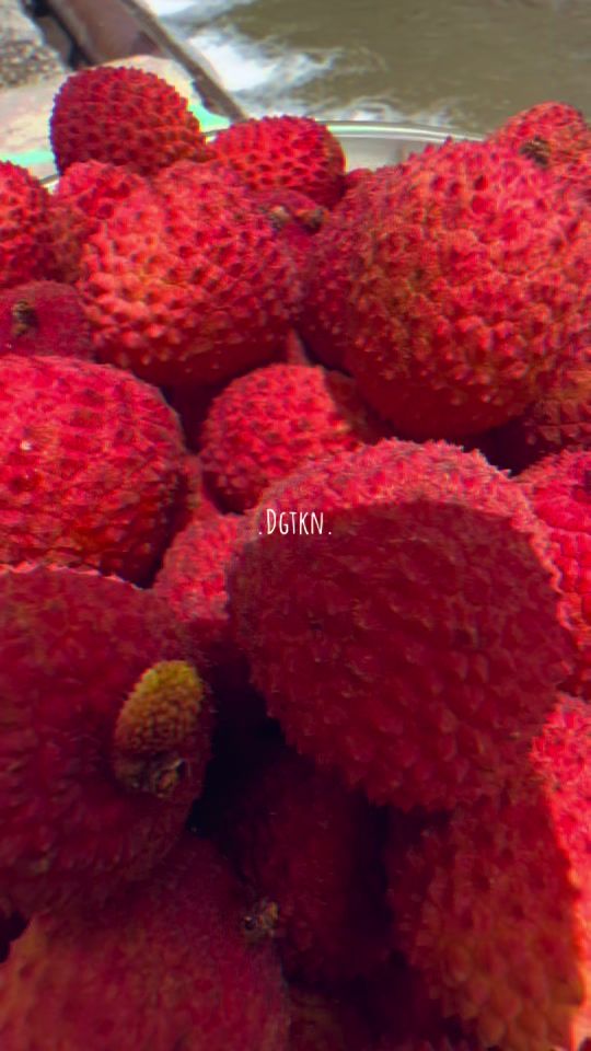 TikTok video thumbnail by dgskwr