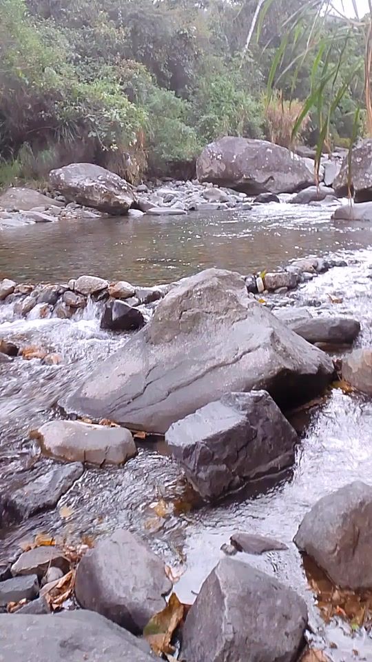 TikTok video thumbnail by adonilima349