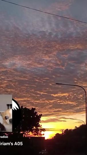 TikTok video thumbnail by flowflo15
