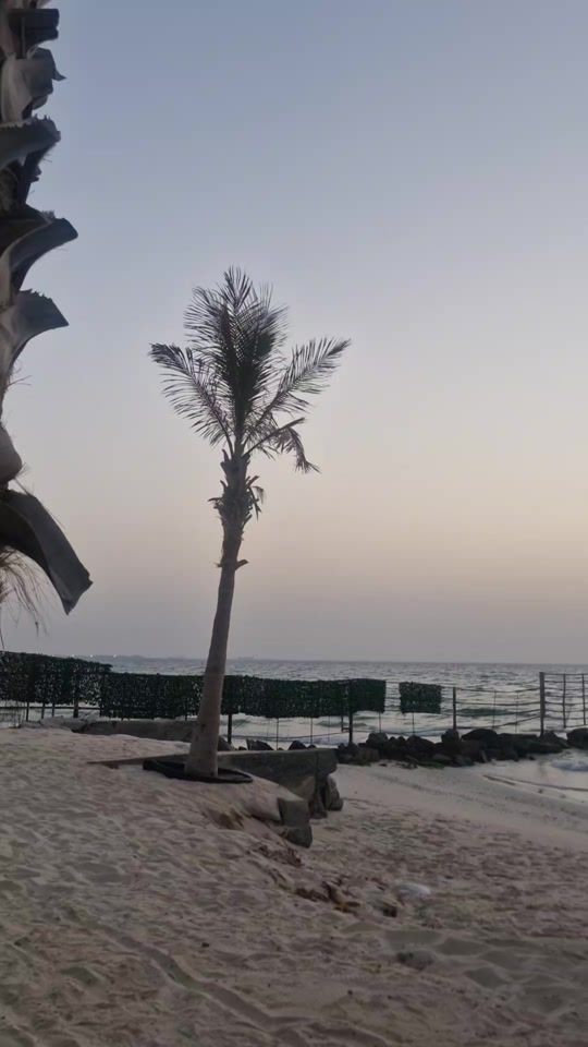 TikTok video thumbnail by yasmen7alsham