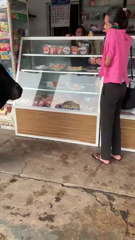 TikTok video thumbnail by sampath....2