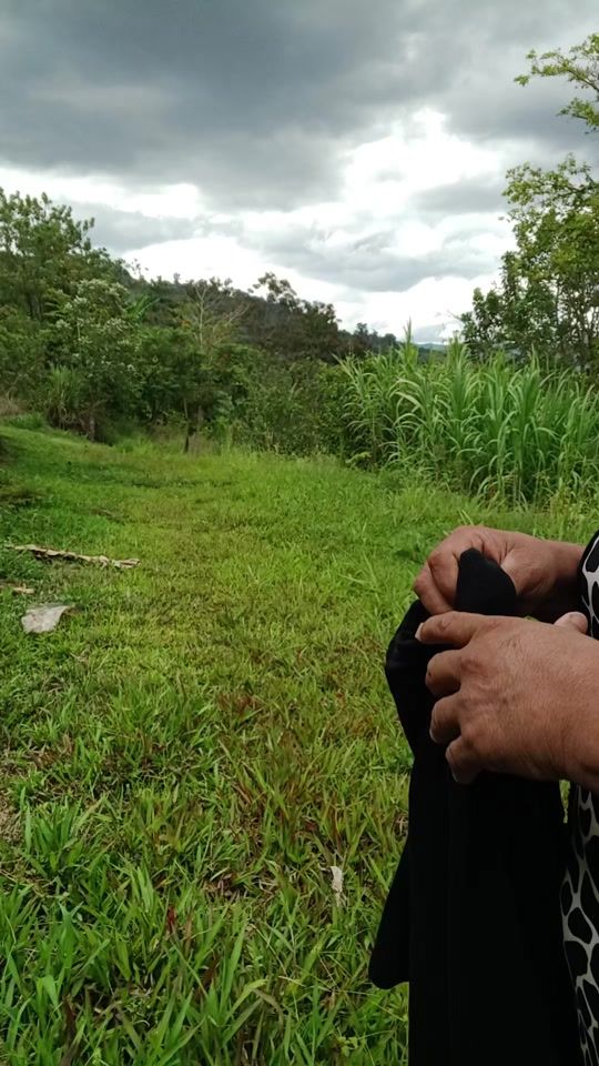 TikTok video thumbnail by chilitoenelcampo