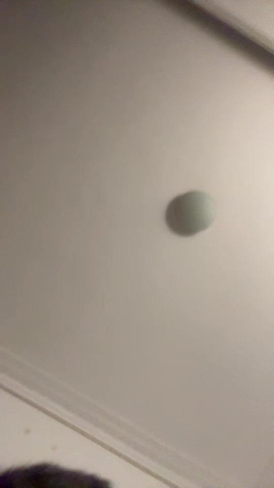 TikTok video thumbnail by ecleticballs