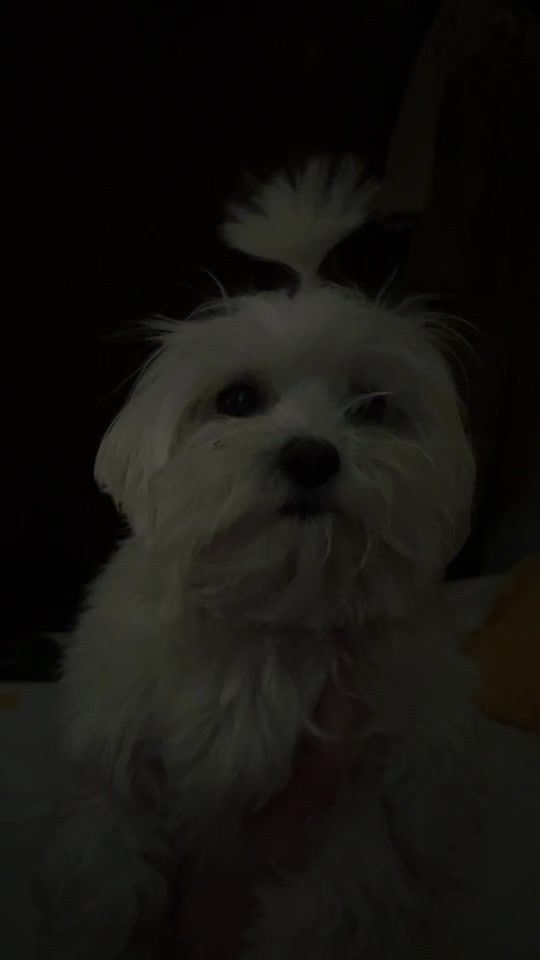 TikTok video thumbnail by natasavujnovic3