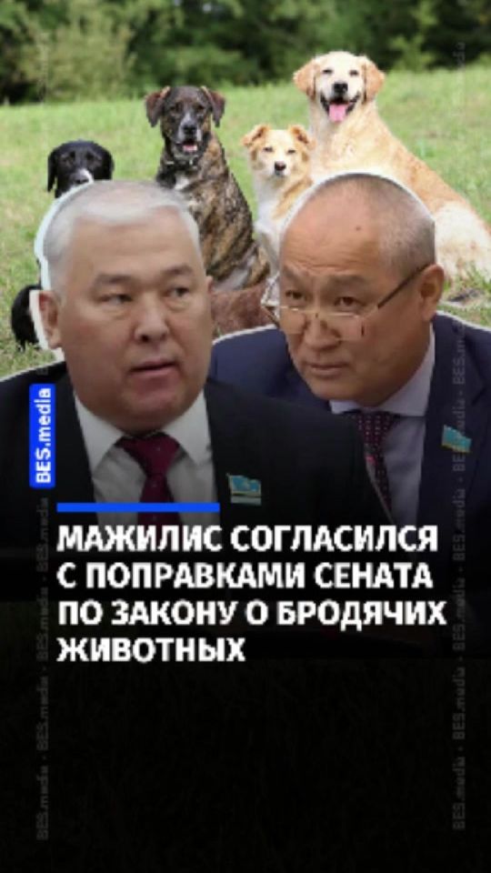 TikTok video thumbnail by bes.media