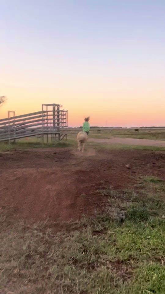 TikTok video thumbnail by secret_polzin