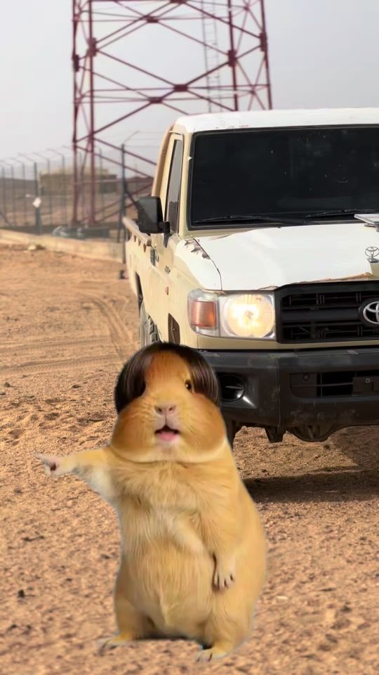 TikTok video thumbnail by .b.e.t