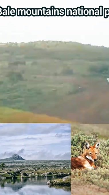 TikTok video thumbnail by hariskaparis