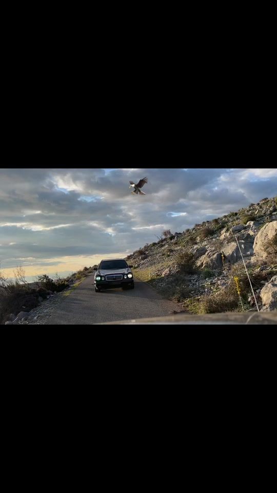 TikTok video thumbnail by gt_w210