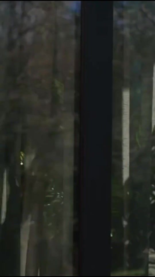 TikTok video thumbnail by leila.loliittaa