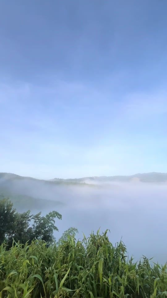 TikTok video thumbnail by .4915825