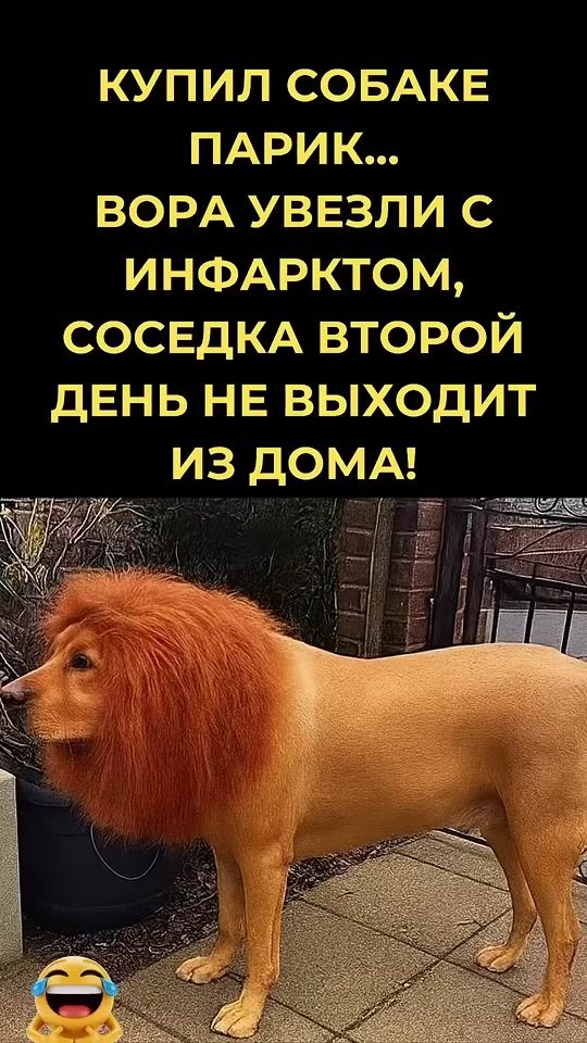 TikTok video thumbnail by abaymirzaev72