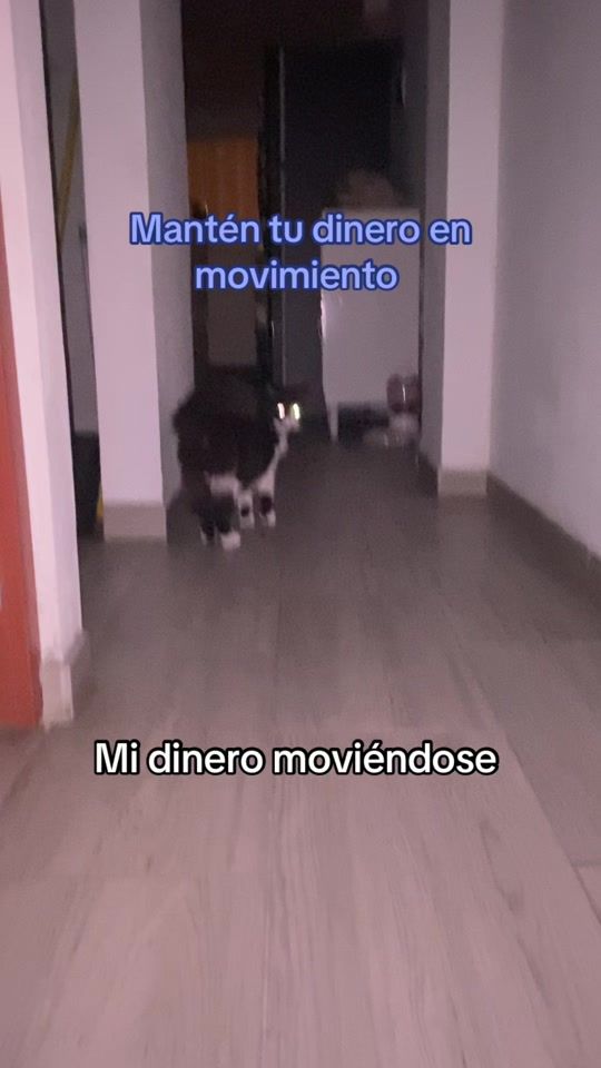 TikTok video thumbnail by tommycatlover