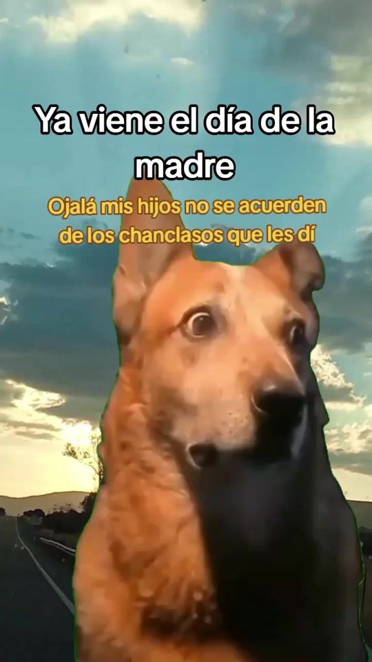 TikTok video thumbnail by amary.0
