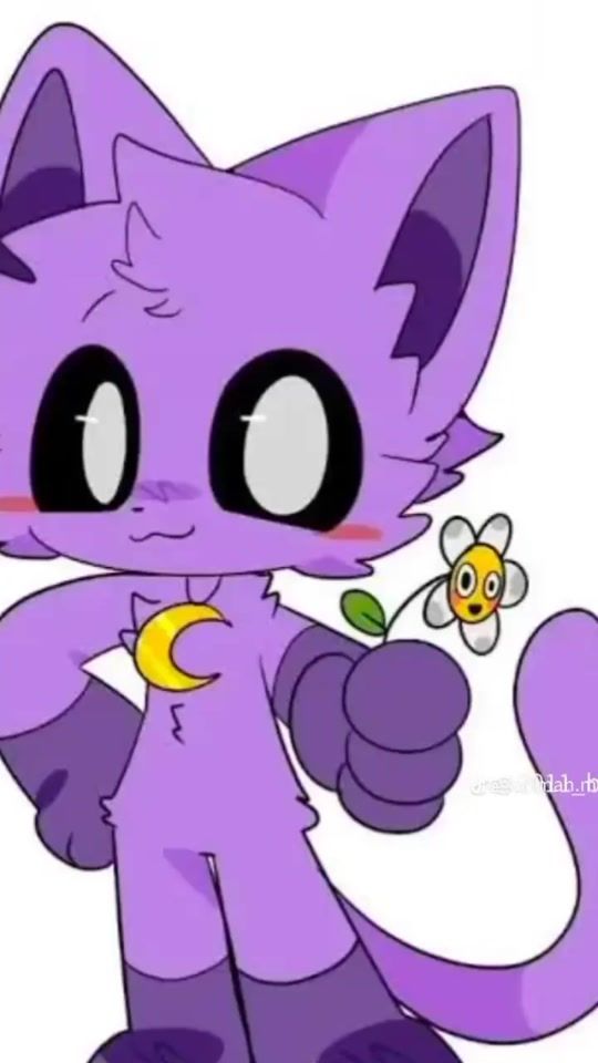 TikTok video thumbnail by catnap.fan.catnap