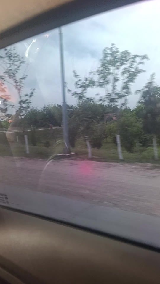 TikTok video thumbnail by buxara448