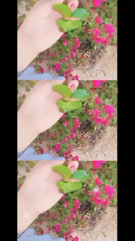 TikTok video thumbnail by joorea40