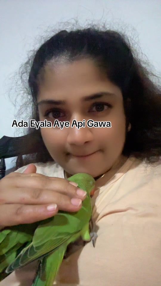 TikTok video thumbnail by parrot.danu