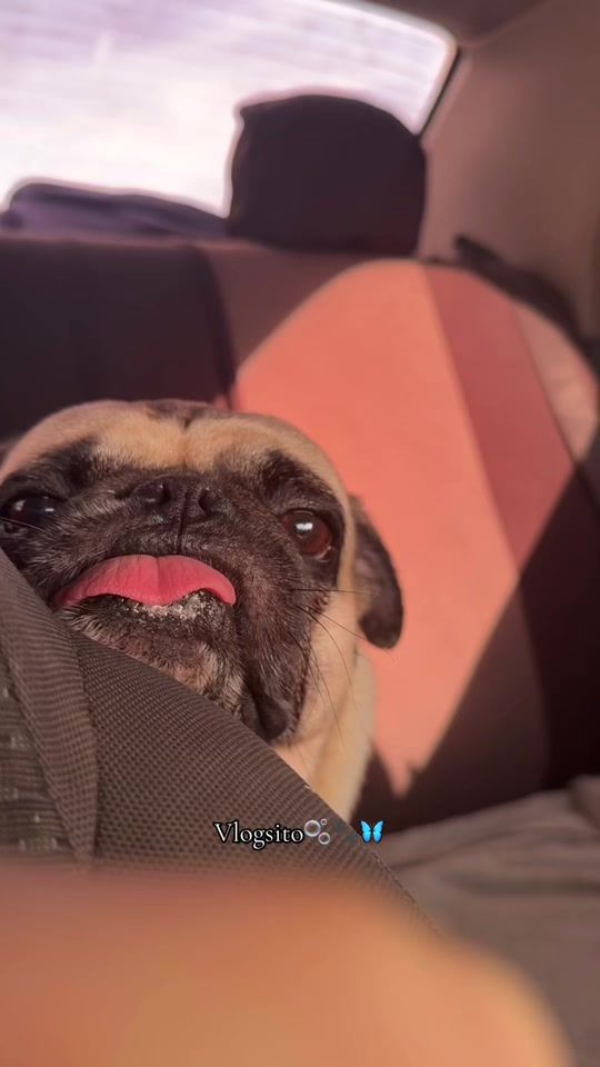 TikTok video thumbnail by nataliamorgado1