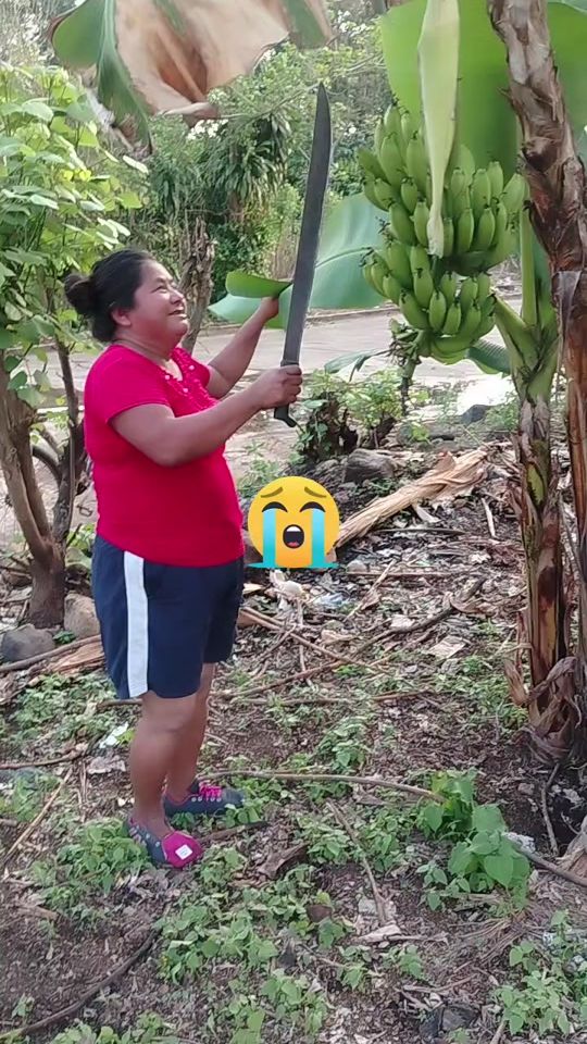 TikTok video thumbnail by carne.pollo.adobado