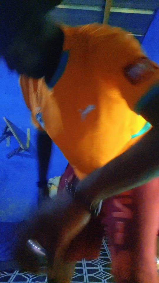 TikTok video thumbnail by petit.acote