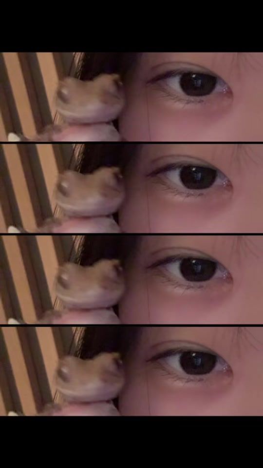 TikTok video thumbnail by winddung0