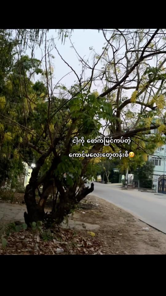 TikTok video thumbnail by bby_chichi_