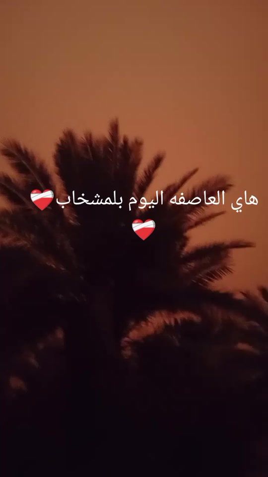 TikTok video thumbnail by user2488078186788