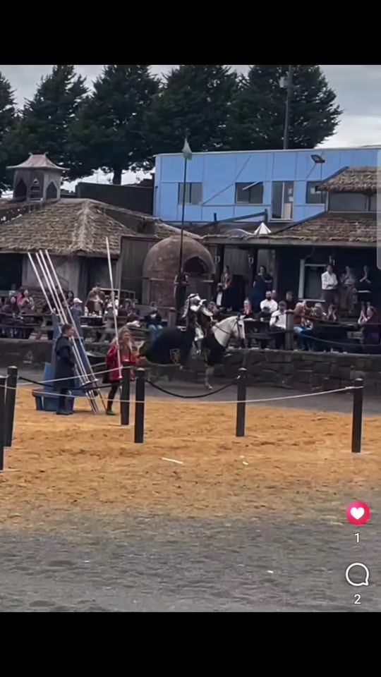 TikTok video thumbnail by themoonlightmarket
