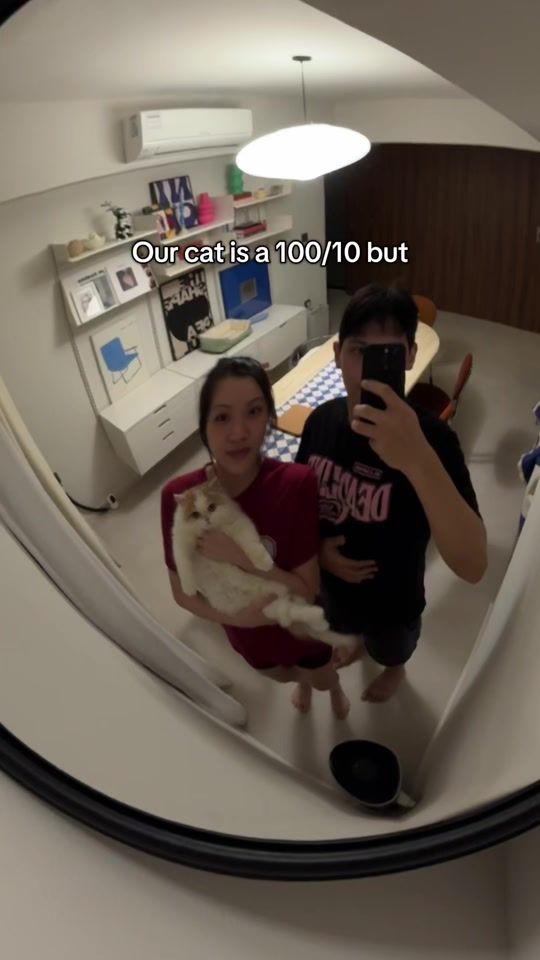 TikTok video thumbnail by gibsaw