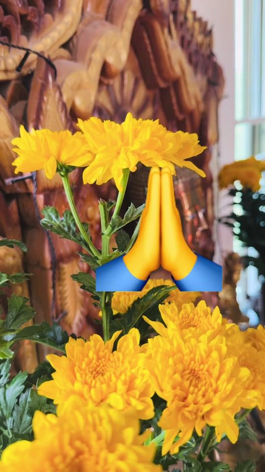 TikTok video thumbnail by maythandar579