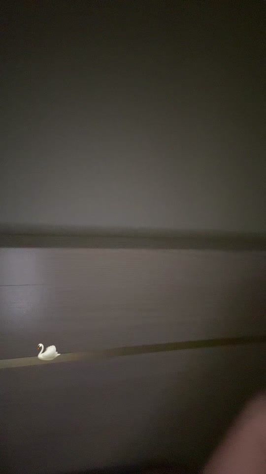 TikTok video thumbnail by _meari24