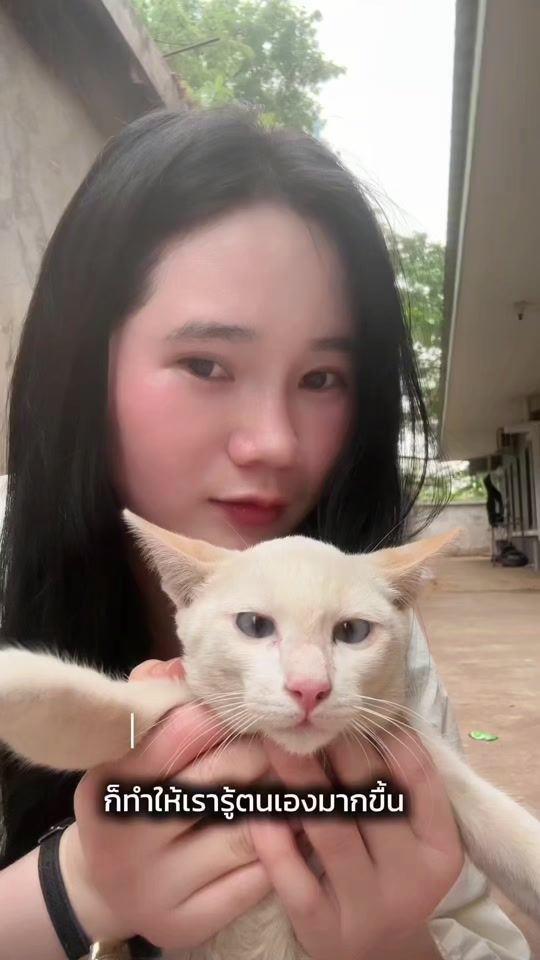 TikTok video thumbnail by farlis1122