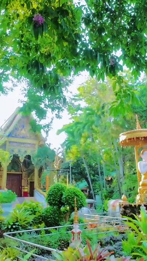 TikTok video thumbnail by ndmbookstore