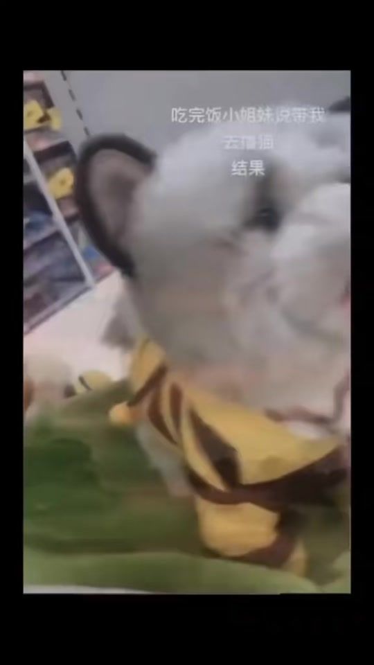 TikTok video thumbnail by luisver.7