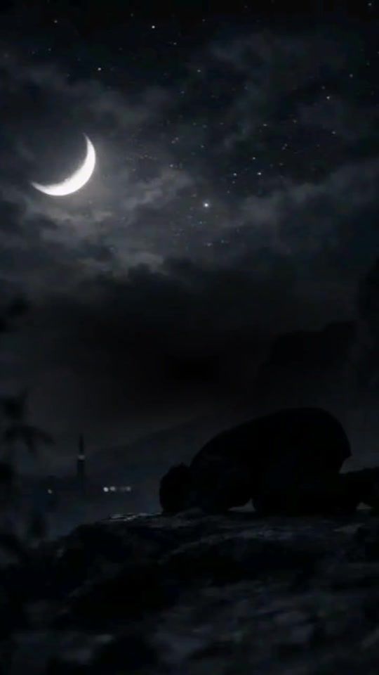TikTok video thumbnail by redaalshoura6