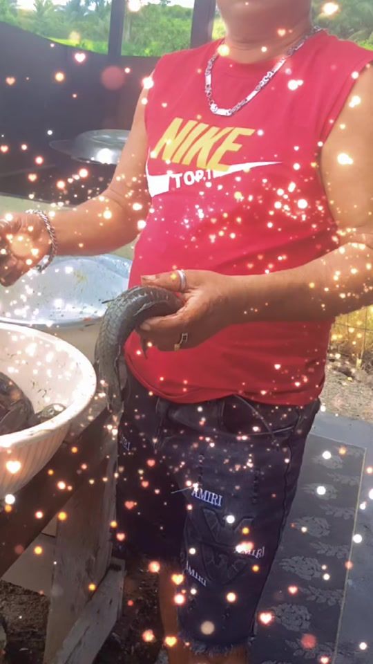 TikTok video thumbnail by hemandkhoesial